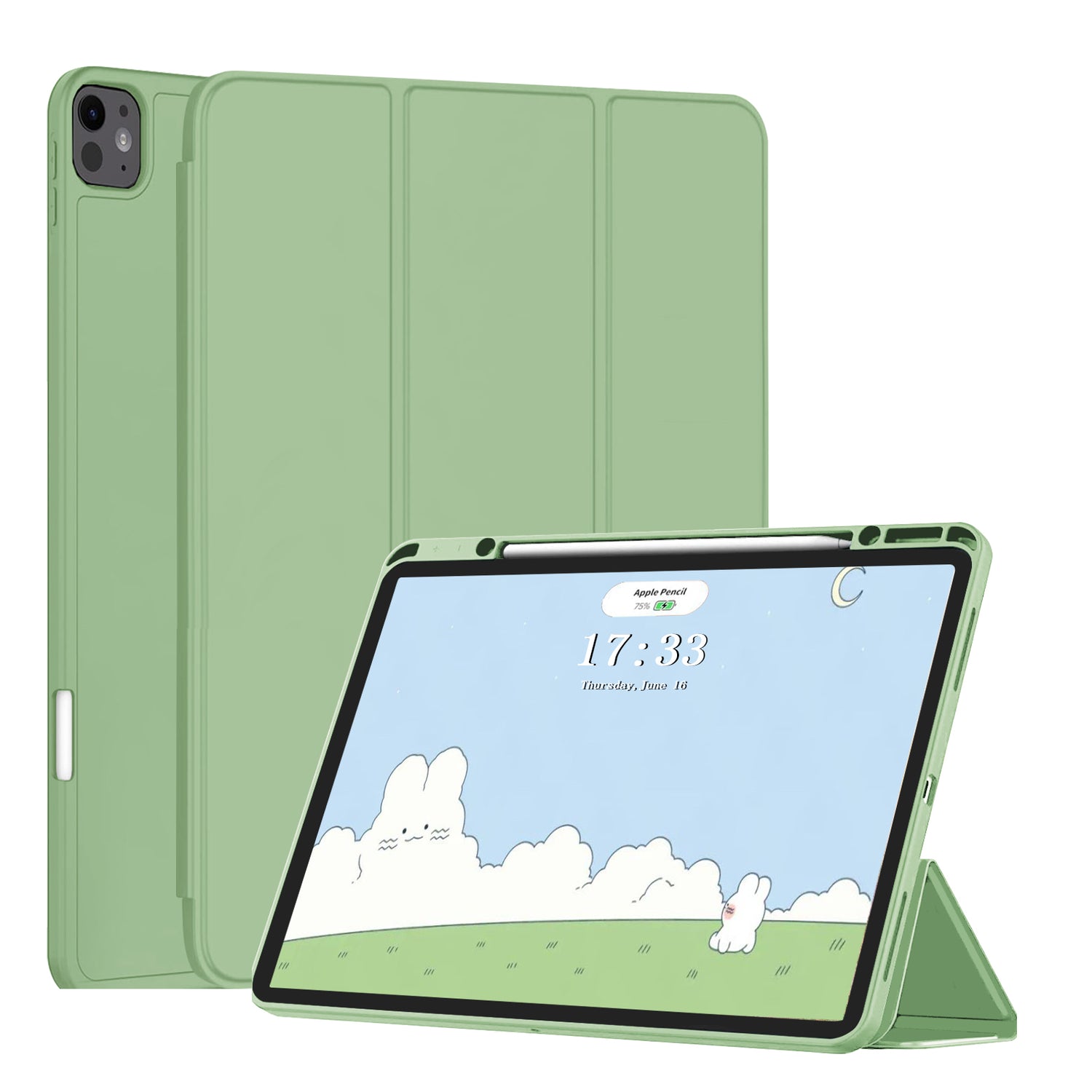 iPad Pro series case
