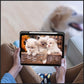 Hybrid Slim Case for iPad 10th/5th/4th Generation (2022 2020 Model, 10.9 Inch)/iPad Pro 4th/3rd/2nd/1st Generation (2022/2021/2020/2018 Model, 11 Inch),Built-in Pencil Holder -Shockproof Cover -Clear Transparent Back Shell -Support Auto Sleep/Wake
