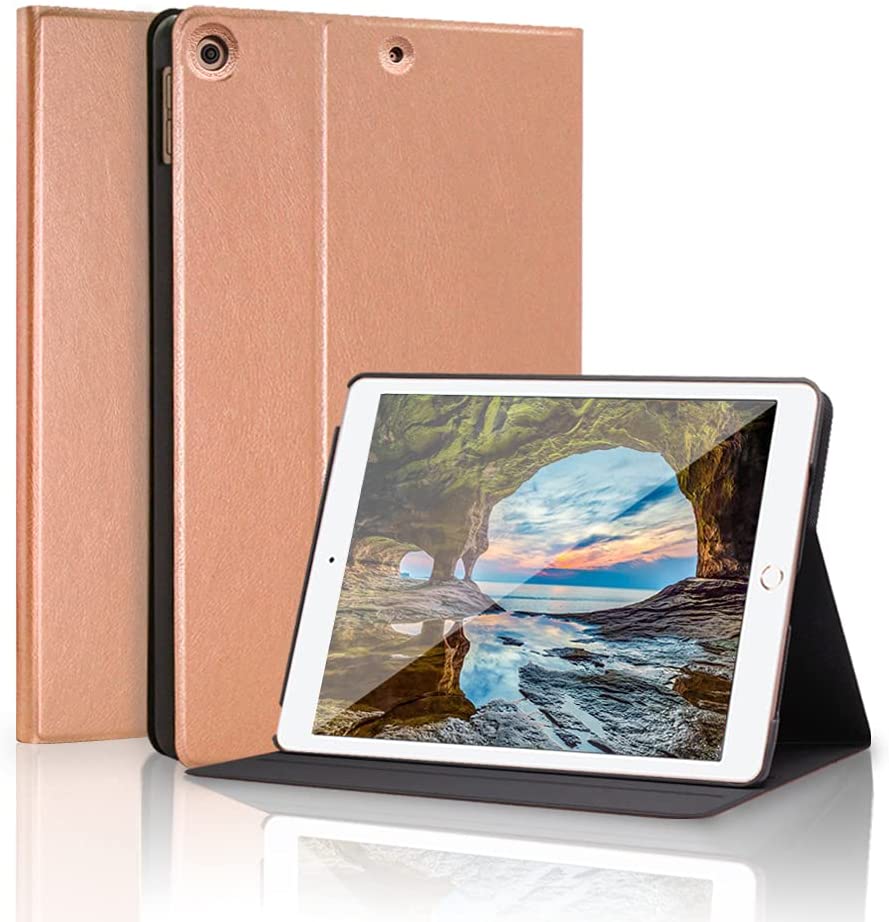 iPad Case 10.2 inch Smart Cover